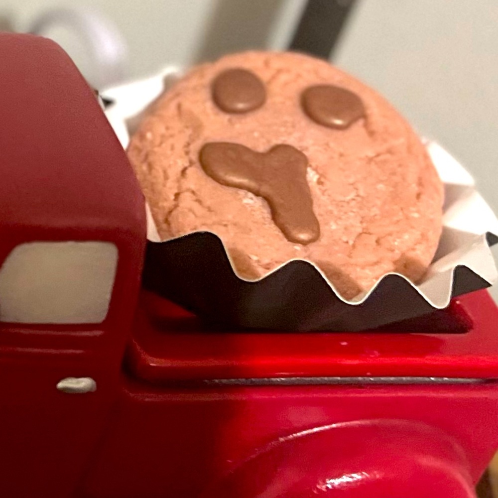 🍪🕯️Wax Melt Chocolate Chip Cookie Shaped & Scented 🕯️🍪